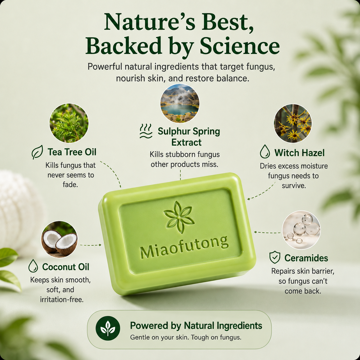 The Anti-Fungal Soap